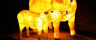 23 березня 2025 року - що можна і не можна робити та яке сьогодні свято