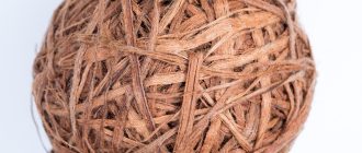 Загадки для першого класу – прості завдання для учнів 1 класу
