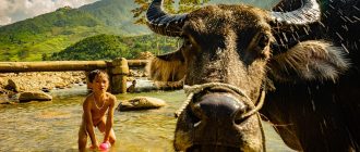 10 Найкращих Фільмів Детективів: Ваш Гід у Світ Таємниць та Розслідувань