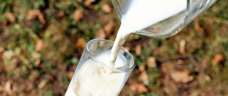 Цільне молоко: Що це таке, користь для здоров'я та можливі ризики