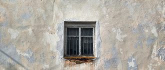 Скільки готувати піцу в духовці: поради та секрети для ідеального результату