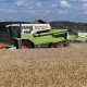 Комбайни збирають пшеницю на полі в Чертковському районі Ростовської області, Росія, 25 липня 2025 року / Фото: Reuters